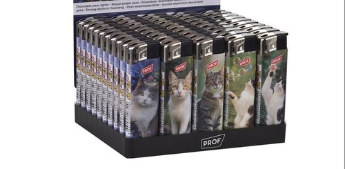 Prof playful cats electric - cats,