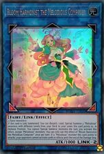 DUOV-EN020 BLOOM HARMONIST THE