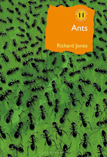 Ants: the Ultimate Social