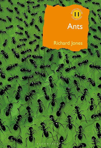 Ants the ultimate social - the,