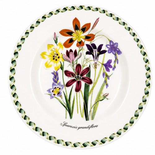 Portmeirion rare jane london - portmeirion,