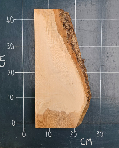 Kiln dried planed ash - dried, slab