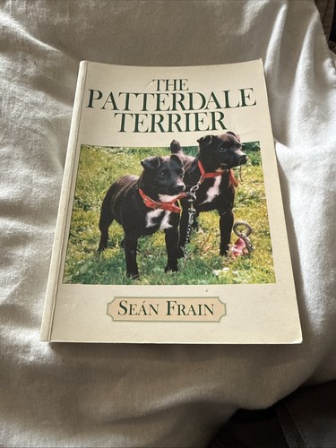 The patterdale terrier sean - patterdale, by