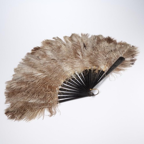 Vintage ostrich feather hand - ostrich,