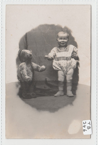 Teddy bear with - (standing),