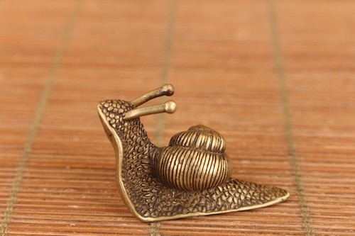 Japanese bronze snail - japanese,