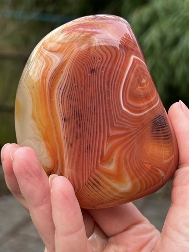 Sardonyx large silk agate - sardonyx,