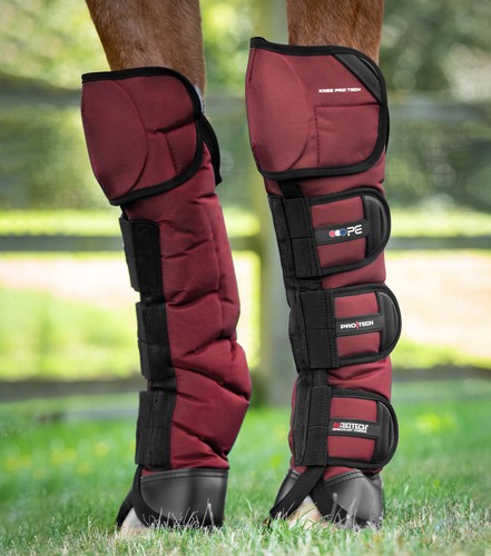 Premier equine ballistic knee - equine,
