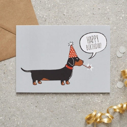 Sweet william dachshund - sweet,