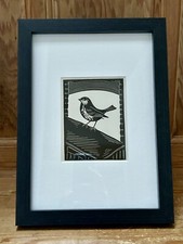 ‘House Sparrow’- Framed Woodcut Bird By Raphael Nelson, 1940s