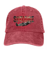 RAF Spitfire Fighter Aircraft