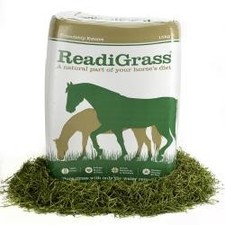 Friendly Readigrass | Horses &