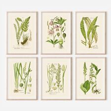 Set of 6 Antique Repro