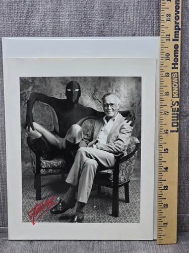 The amazing spider - spider, picture