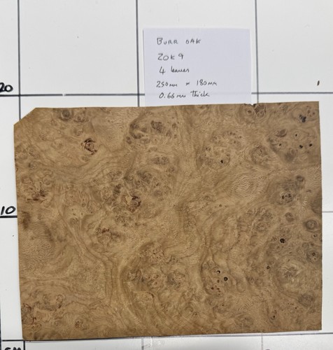 Burr oak veneer sheets - burr,
