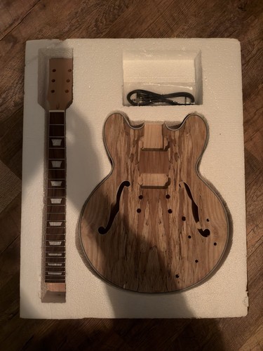 Diy semi hollow electric - semi,