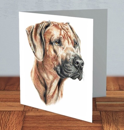 Rhodesian dog ridgeback - dog,