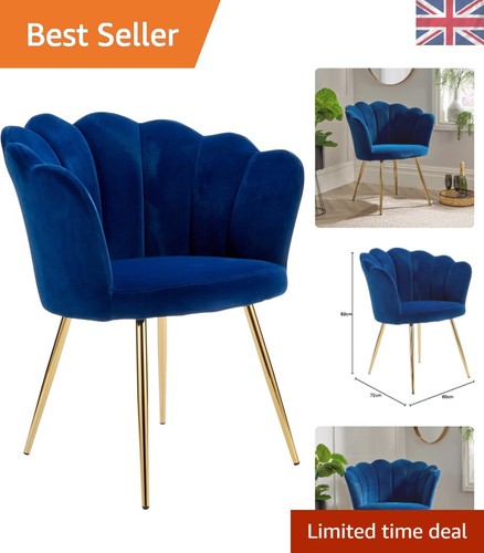 Velvet scallop shell - scallop,