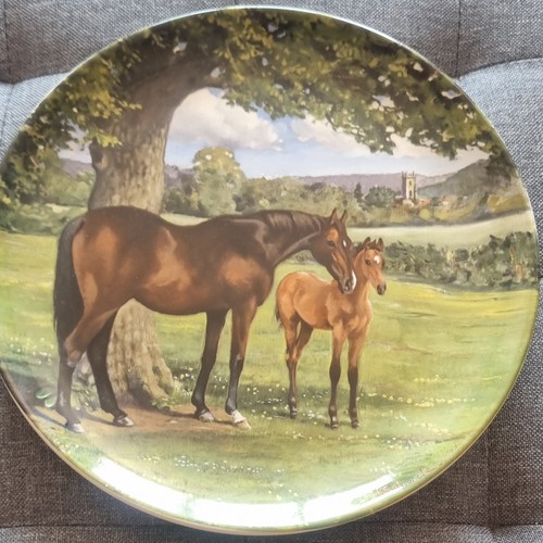 Spode the noble - spode, horse