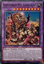 DABL-EN098 AMAZONESS PET LIGER KING COMMON 1ST EDITION YuGiOh CARD