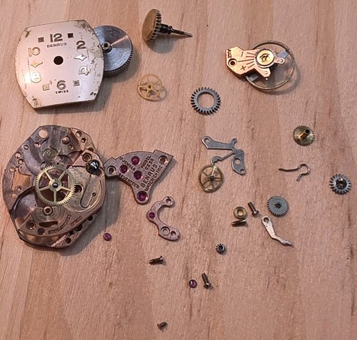 Partial disassembled benrus - partial,