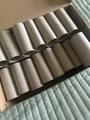 Empty toilet roll - toilet, tubes