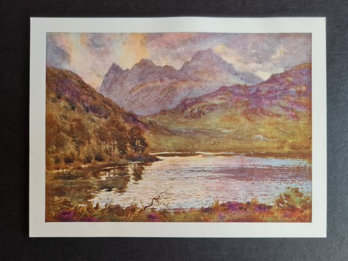 Antique 1908 print blea - print,