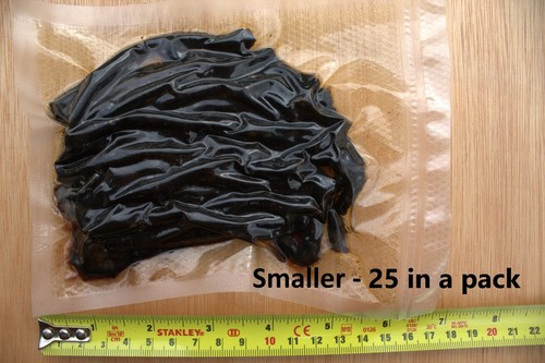 Small preserved lugworm sea - small,