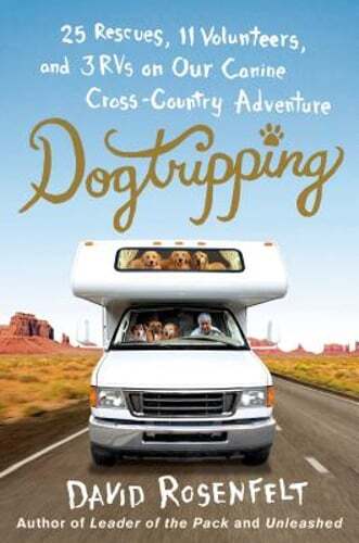 Dogtripping rescues 11 - dogtripping:,