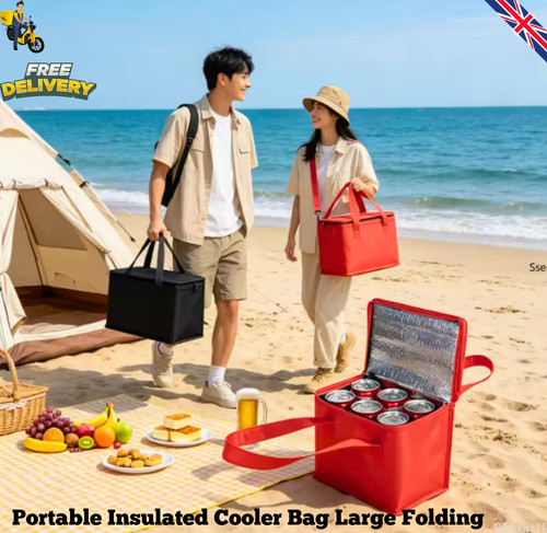 Portable insulated cooler - portable,