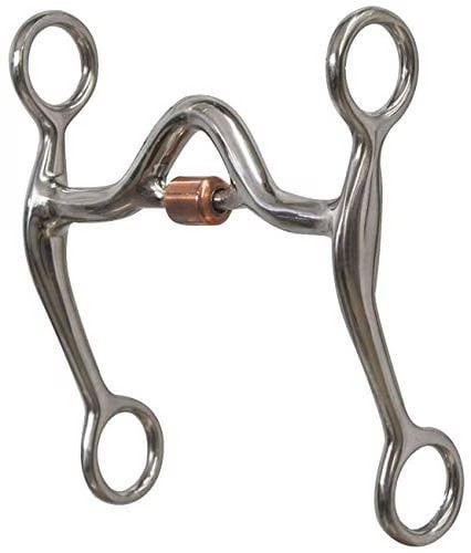 Western saddle horse - western,