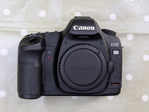Canon eos mark 21 - canon, 21.1mp