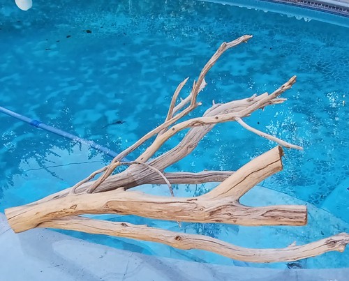 Large driftwood manzanita - driftwood,