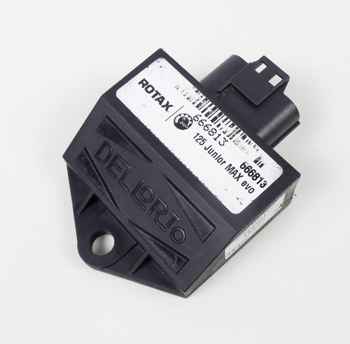 Genuine rotax max - max, dellorto