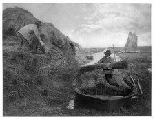 Ricking,reeds,bundling,Broads,boats,sailing,transportation,Norfolk,England,1886