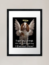 Angel dogs - Welsh Springer