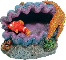 AquaSpectre Seashell With Fish 11x8x8.5cm Fish Tank Ornament Decoration AQ61900