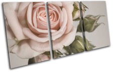 Rose shabby chic  Vintage