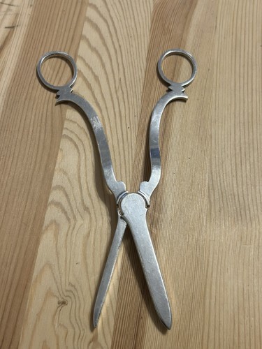 Vintage grape scissors - vintage,