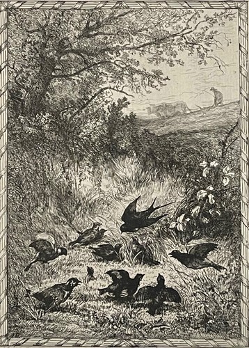 Hirondelle les petits - l'hirondelle,