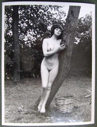 Vivienne warren original - vivienne, warren: