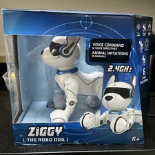 Ziggy the Robo Dog …