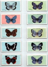 WILLS: British Butterflies 1927 Set of 50 Cigarette Cards