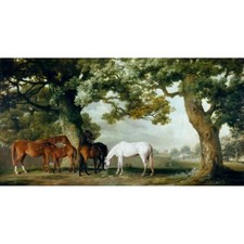 Mares and Foals in a Wooded Landscape - G Stubbs Print
