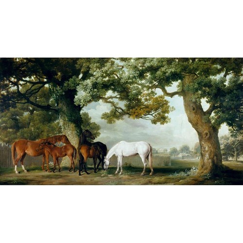 Mares and foals - and, in