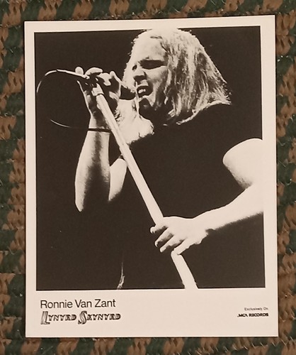 Lynyrd skynyrd ronnie - skynyrd/ronnie, zant