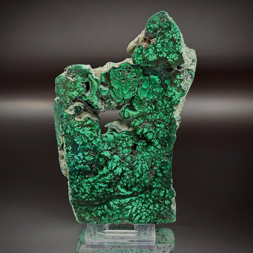Floral malachite collector - malachite,