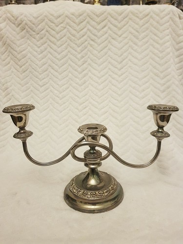Ianthe silver plate branch - silver,