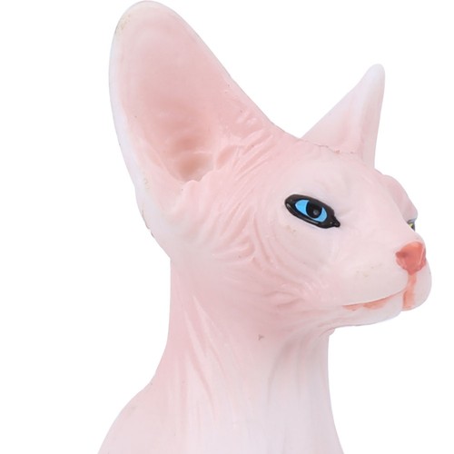 Sphynx cat hairless animal - hairless,