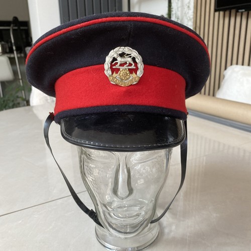 Royal hampshire regiment hat - hat, /